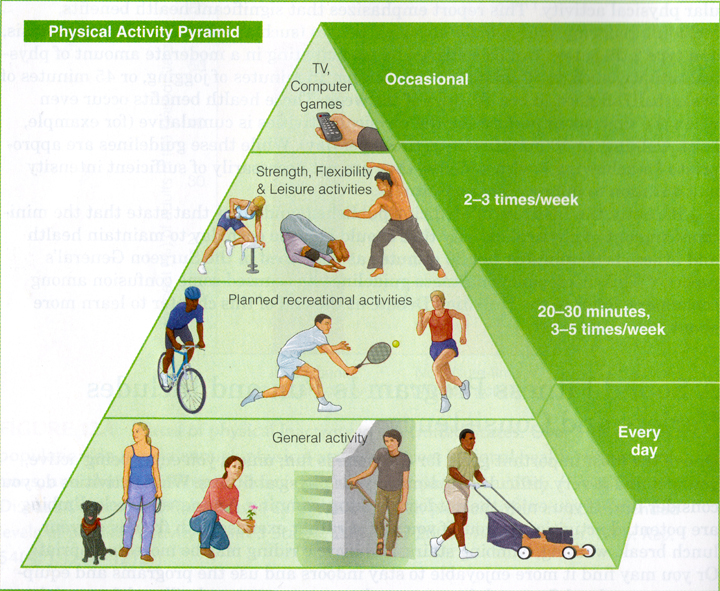 physical fitness pyramid